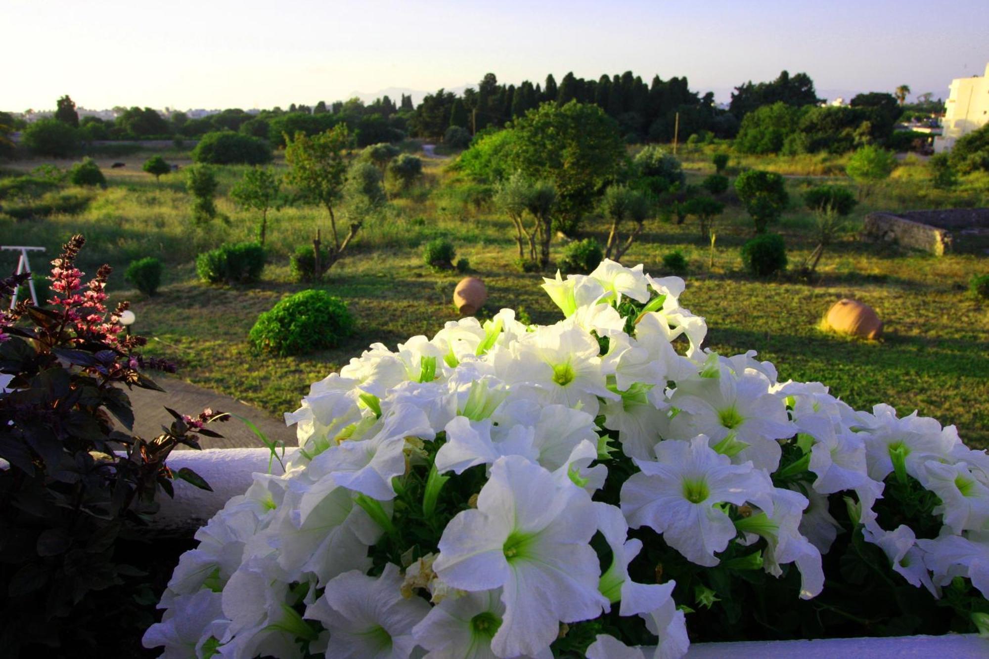 Eftihia Apartments Kos Bagian luar foto