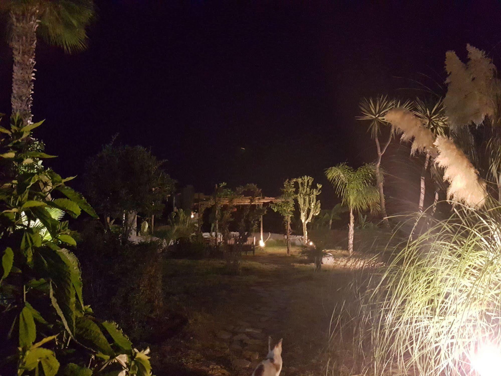 Eftihia Apartments Kos Bagian luar foto