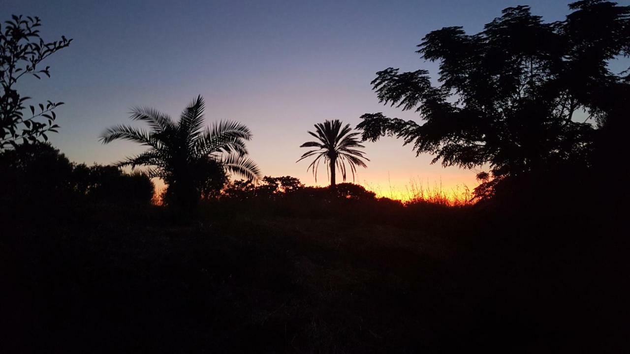 Eftihia Apartments Kos Bagian luar foto